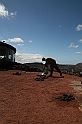 Kanary_2010 178